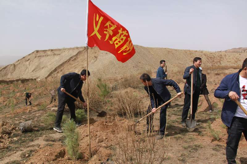 阳高县检察院义务植树绿化家乡